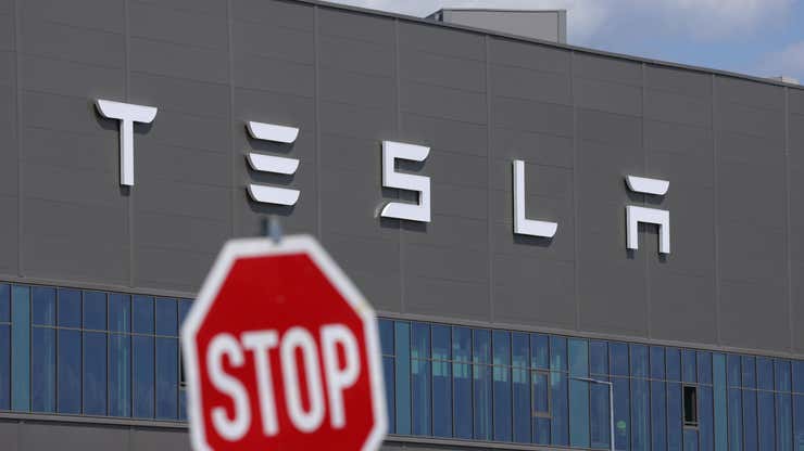 Image for Tesla earnings show plunging revenue as Elon Musk's EV maker warns of hits from Trump's tariffs