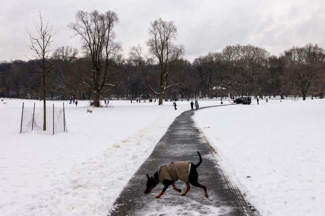 Image for article titled The 10 most pet-friendly states in America
