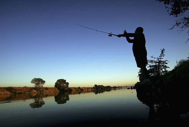 Image for article titled The 5 best states in America for fishing right now