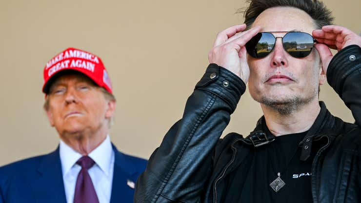 Image for Elon Musk 'basically leaving' DOGE is a 'turning point' for Tesla, analysts say