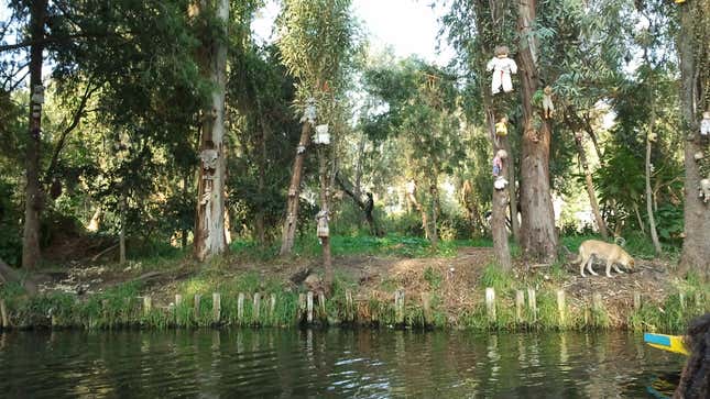 dolls hang from thin trees with green foliage on an island while the bottom third of the image is taken up by water