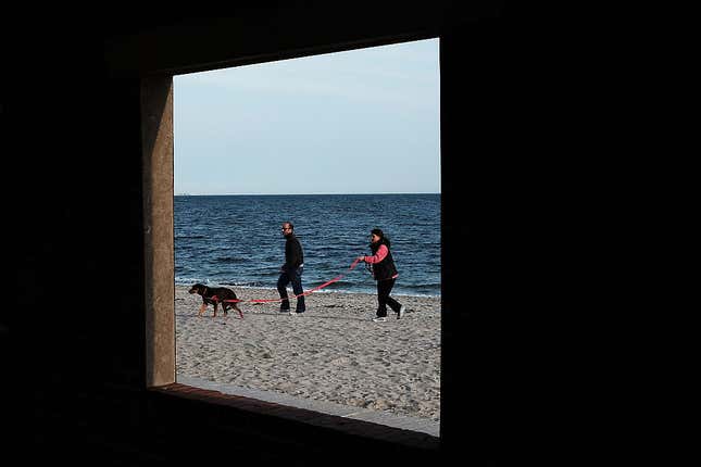 Image for article titled The 10 most pet-friendly states in America