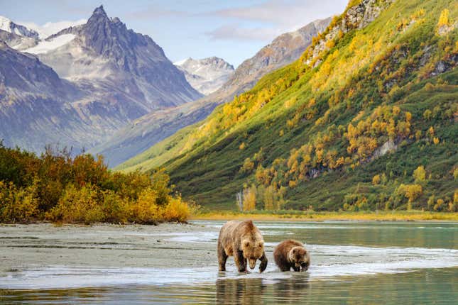 Image for article titled The 5 best states in America for fishing right now