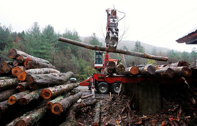 Image for article titled The 5 most environmentally-friendly states in America — and the 5 least environmentally-friendly