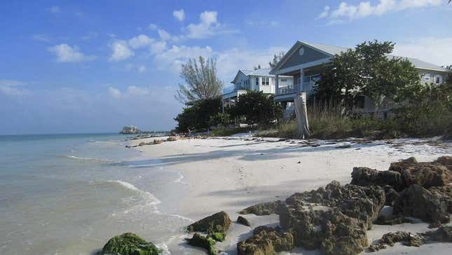 Image for article titled The 5 best states in America for fishing right now