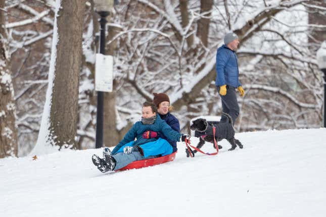 Image for article titled The 10 most pet-friendly states in America