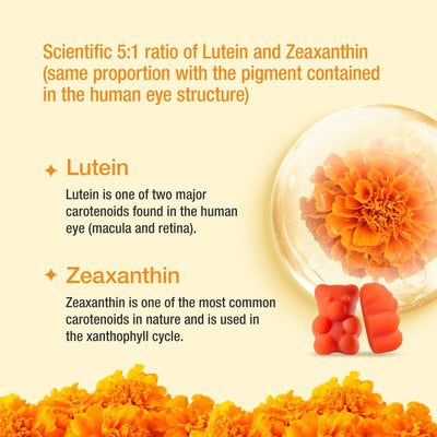 best lutein supplement
