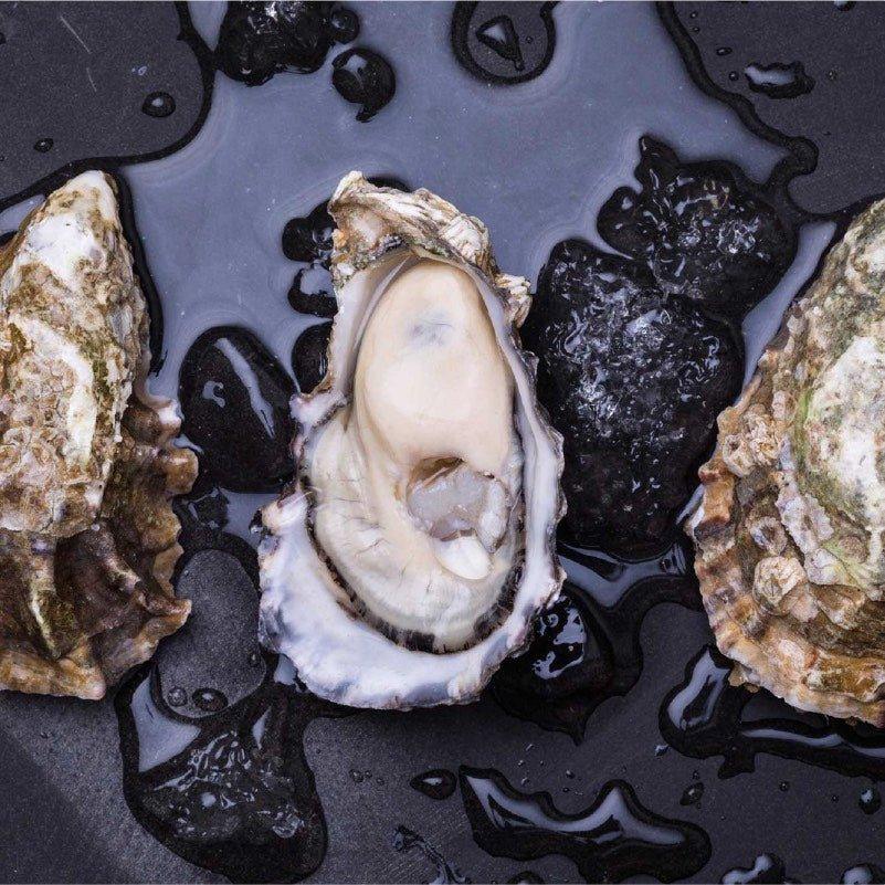 oyster zinc supplement